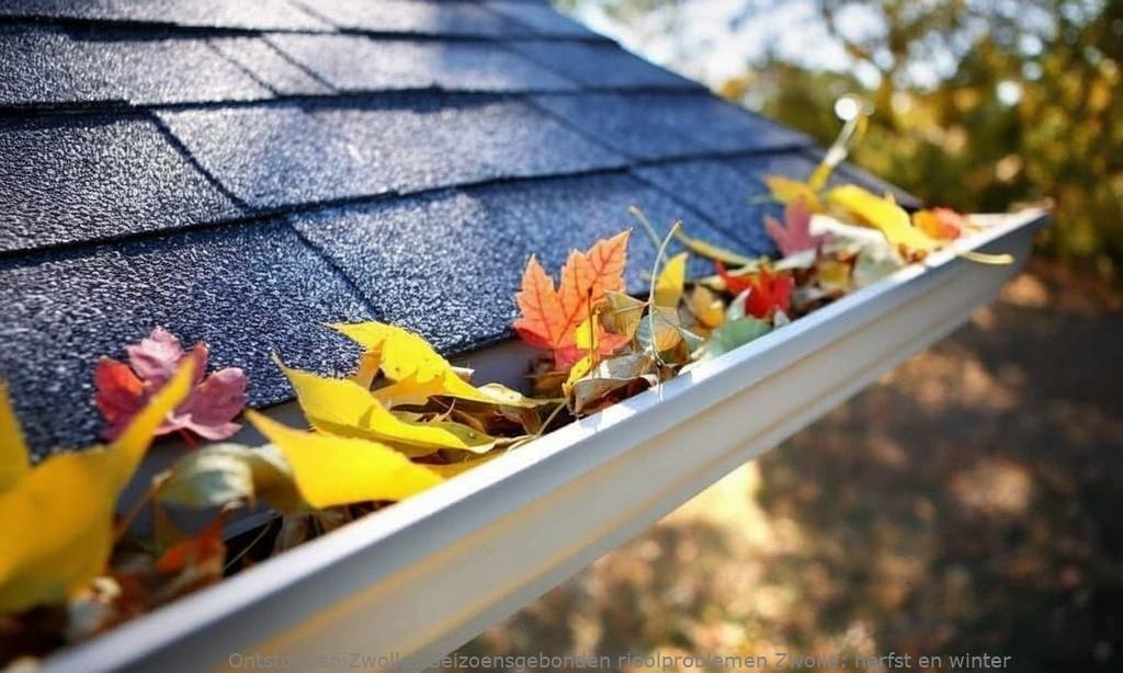 Seizoensgebonden rioolproblemen Zwolle: herfst en winter